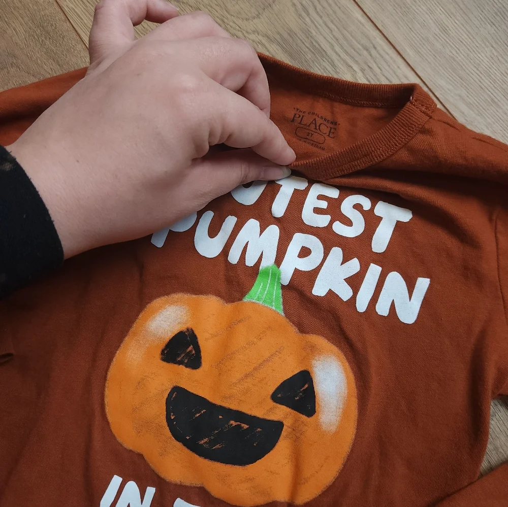 2t Pumpkin Patch Long Sleeve Shirt